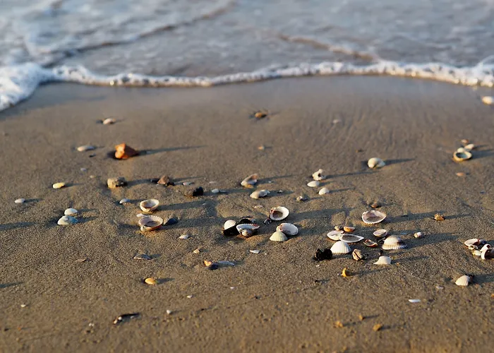 Apartamento Bright With Private Garden